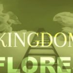The Kingdom: las “coincidencias” que rodean al narcoyate por el que señalaron a los sobrinos Flores
