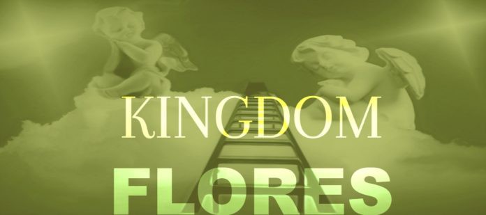 PORTADAKINGDOM