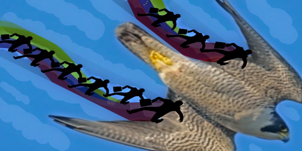 falconportada (1)